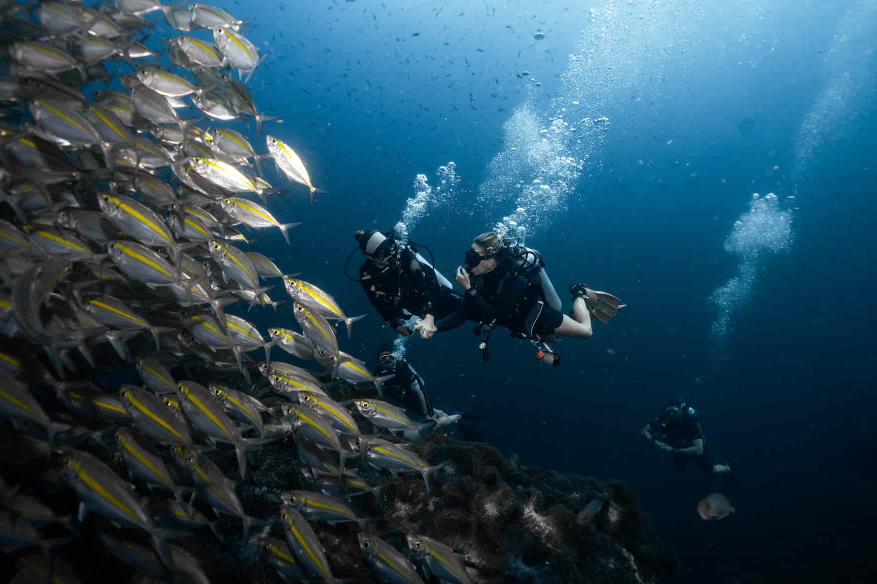 Plongée en famille à Koh Tao : à partir de quel âge ?